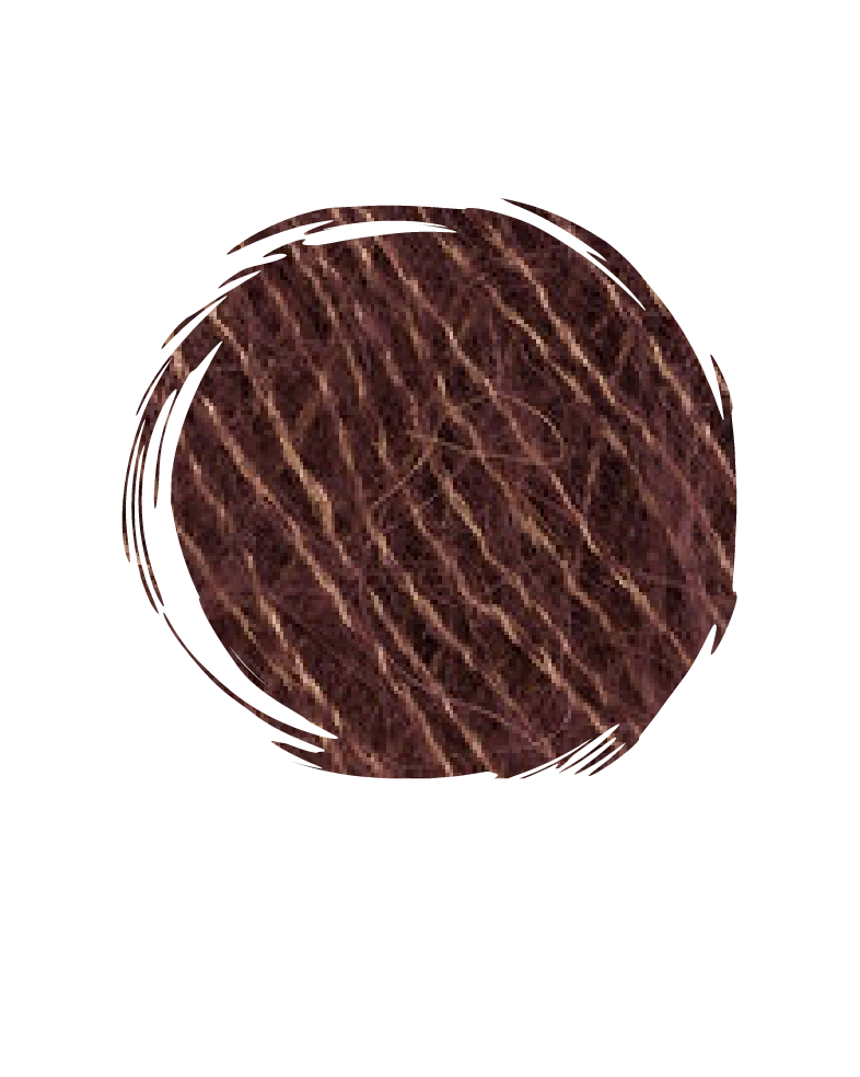 Autumn Palette-Bark