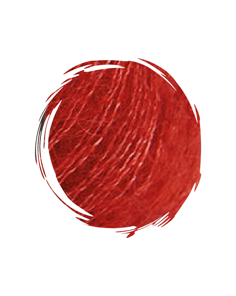 Autumn Palette-Burnt Orange