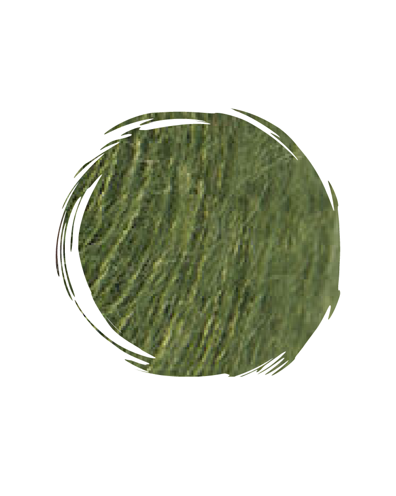 Autumn Palette-Olive