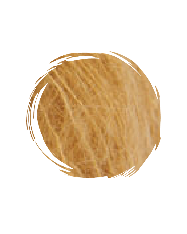 Autumn Palette-Orche
