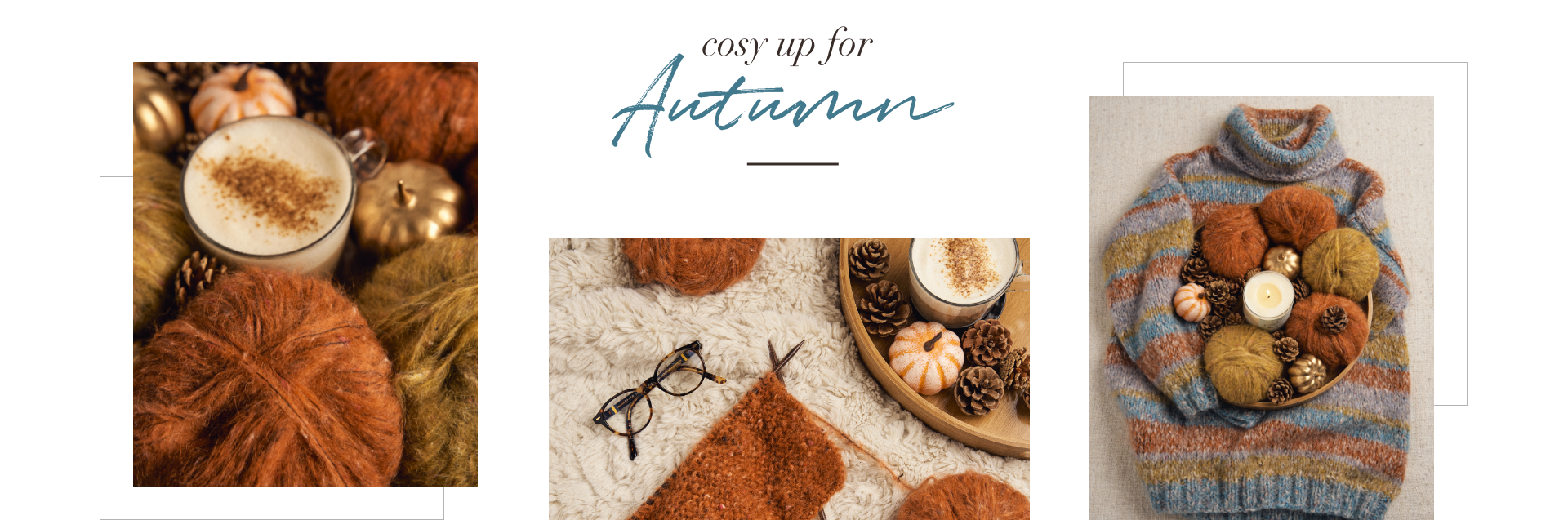 Campaign Cosy up or Autumn Banner