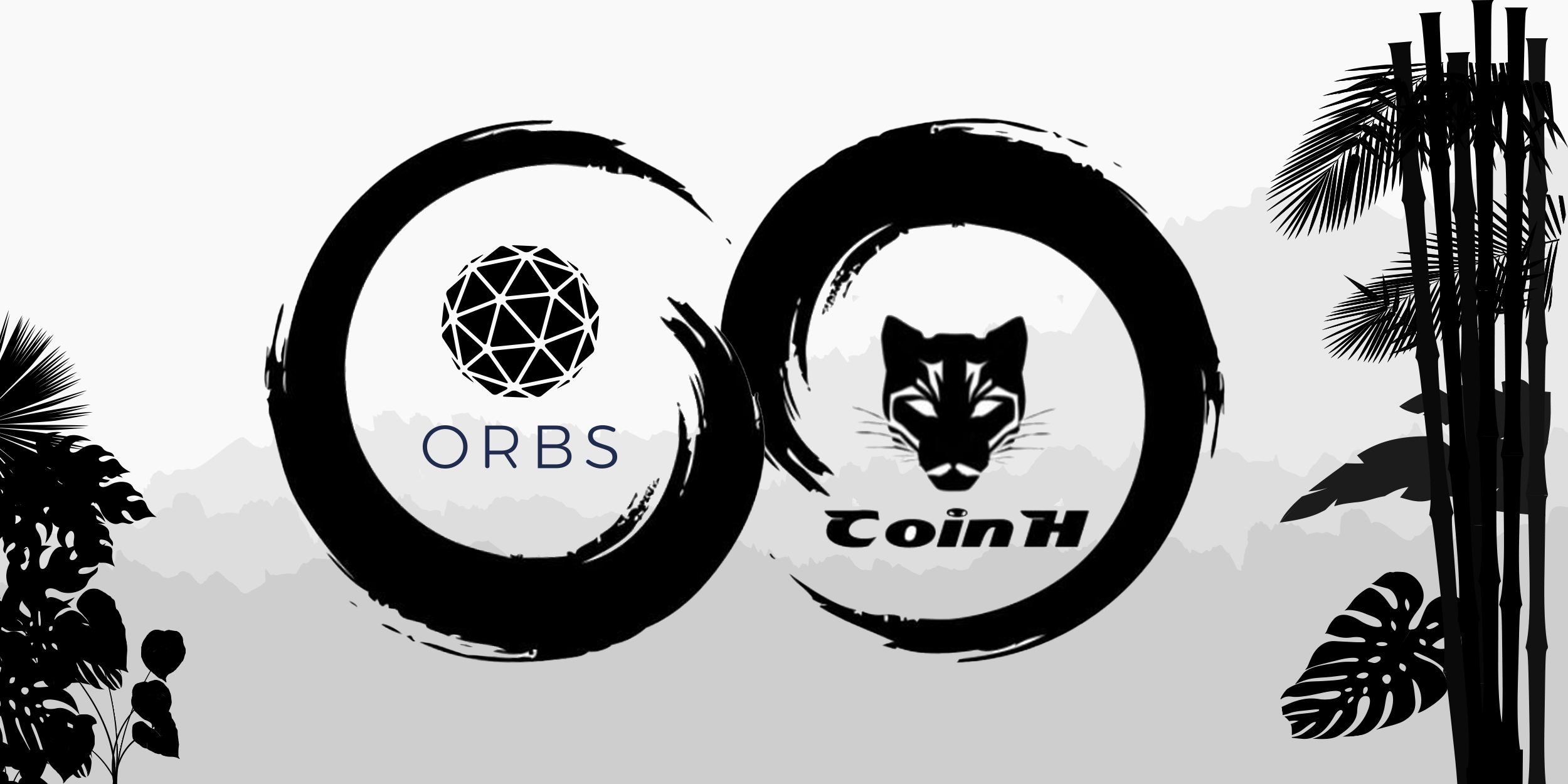 New Orbs Guardian Spotlight: Coin H