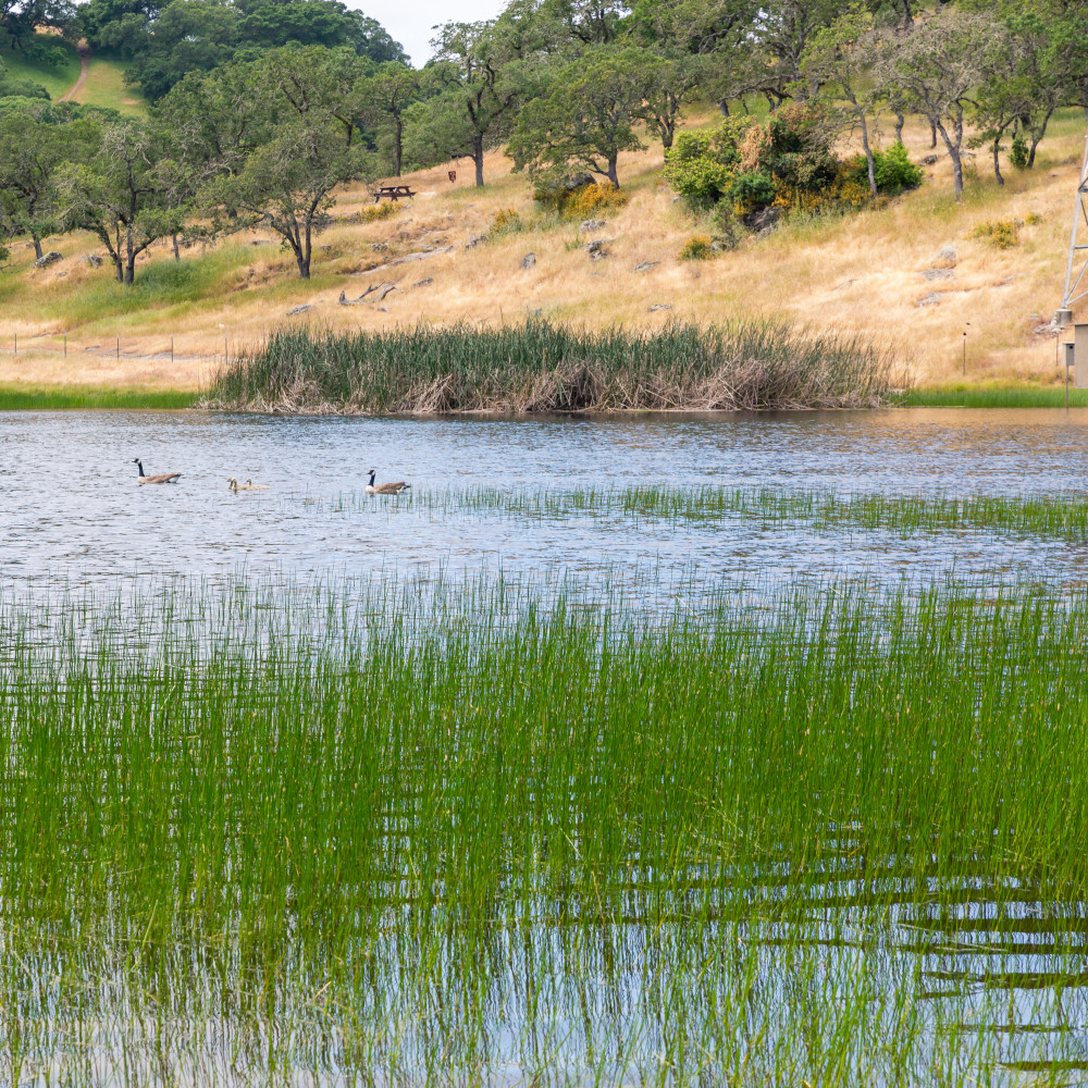 Serene open space to expand & preserve.