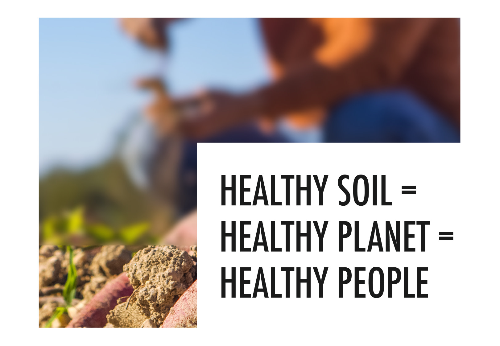 Healthy soil = healthy planet = healthy people