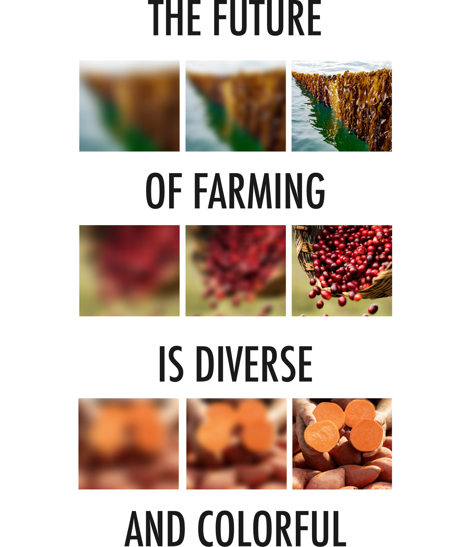 The future of farming is diverse and colorful