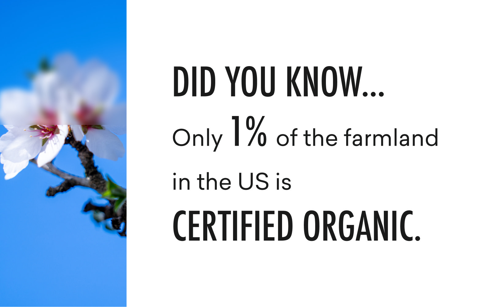 Did you know...only 1% of the farmland in the US is certified organic