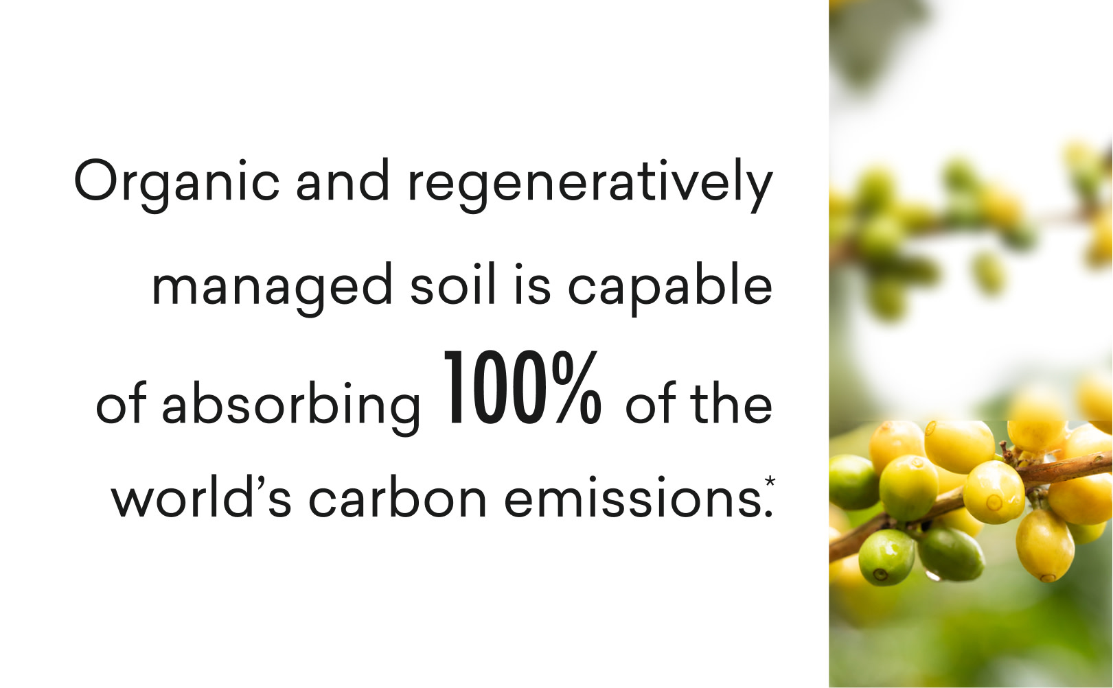 Organic + regeneratively managed soil can absorb 100% of carbon emissions