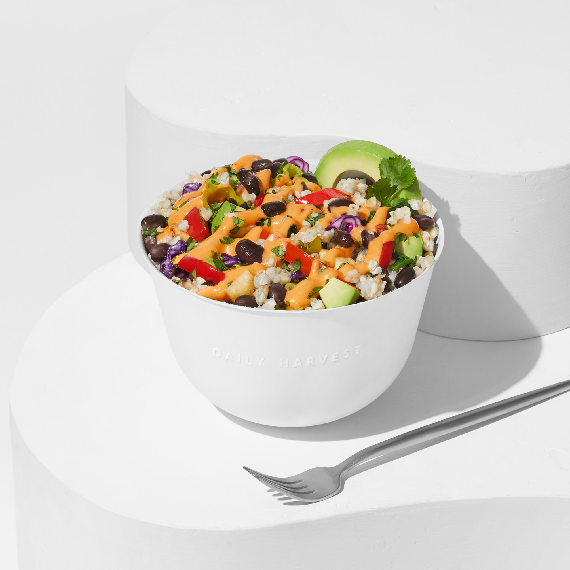 Daily Harvest Menu corona.dothome.co.kr