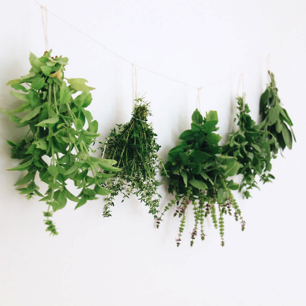 How to Dry & Store Fresh Herbs