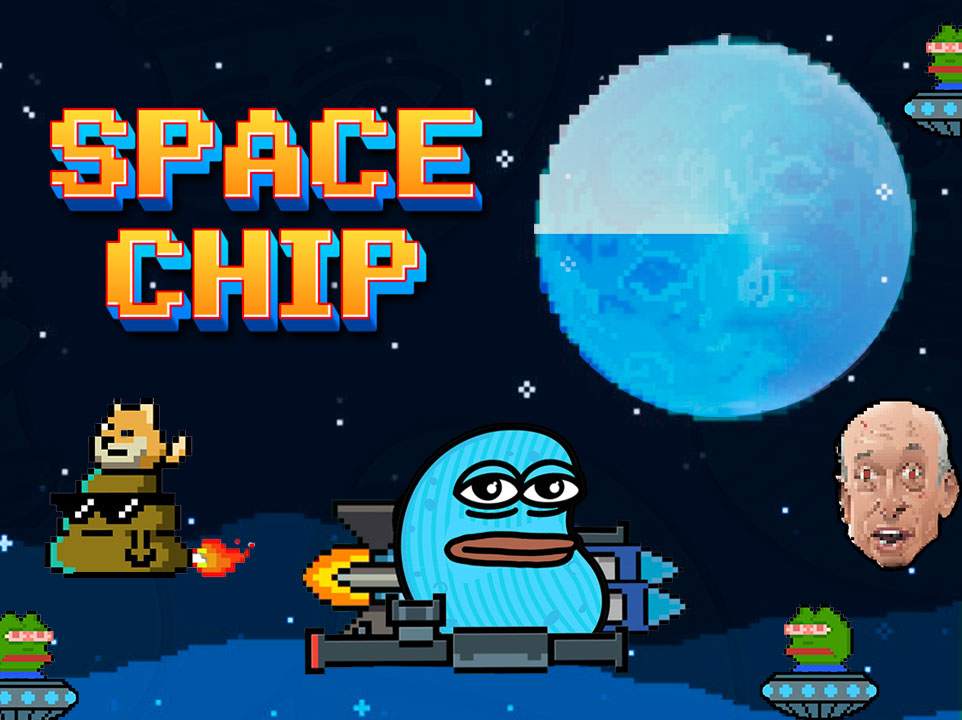 Space Chip