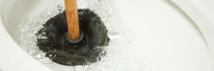 plunger in a toilet