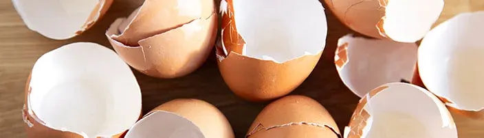 cracked egg shells