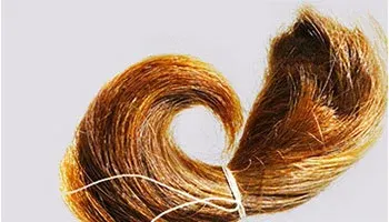 a lock of hair