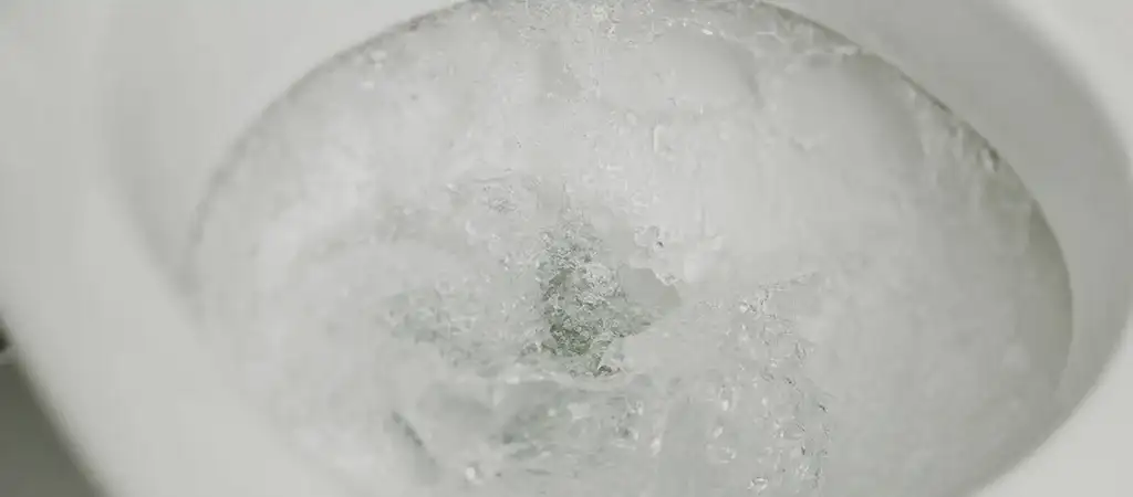 toilet flushing