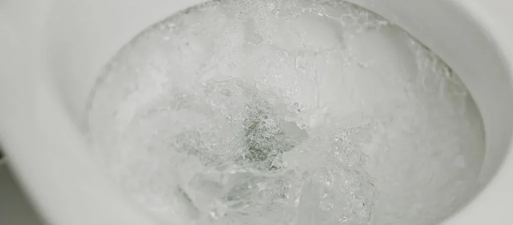 toilet flushing