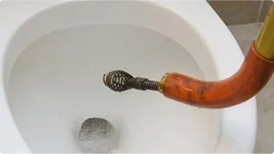 drain snake