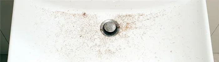 beard hair in sink