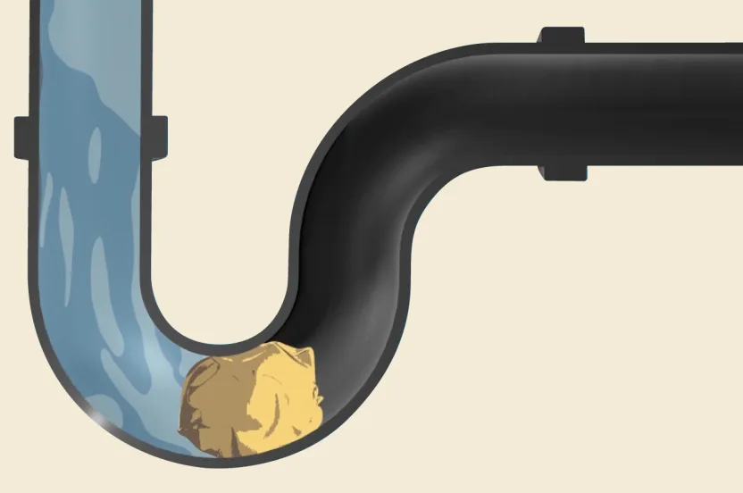 Pro-Strength Liquid Plumr™ Clog Destroyer