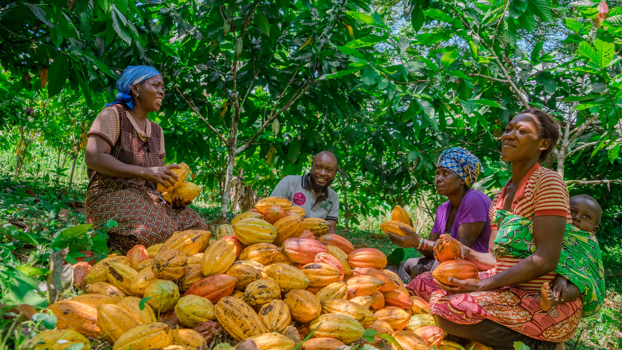 Original Beans - Menschen und Kakaobohnen