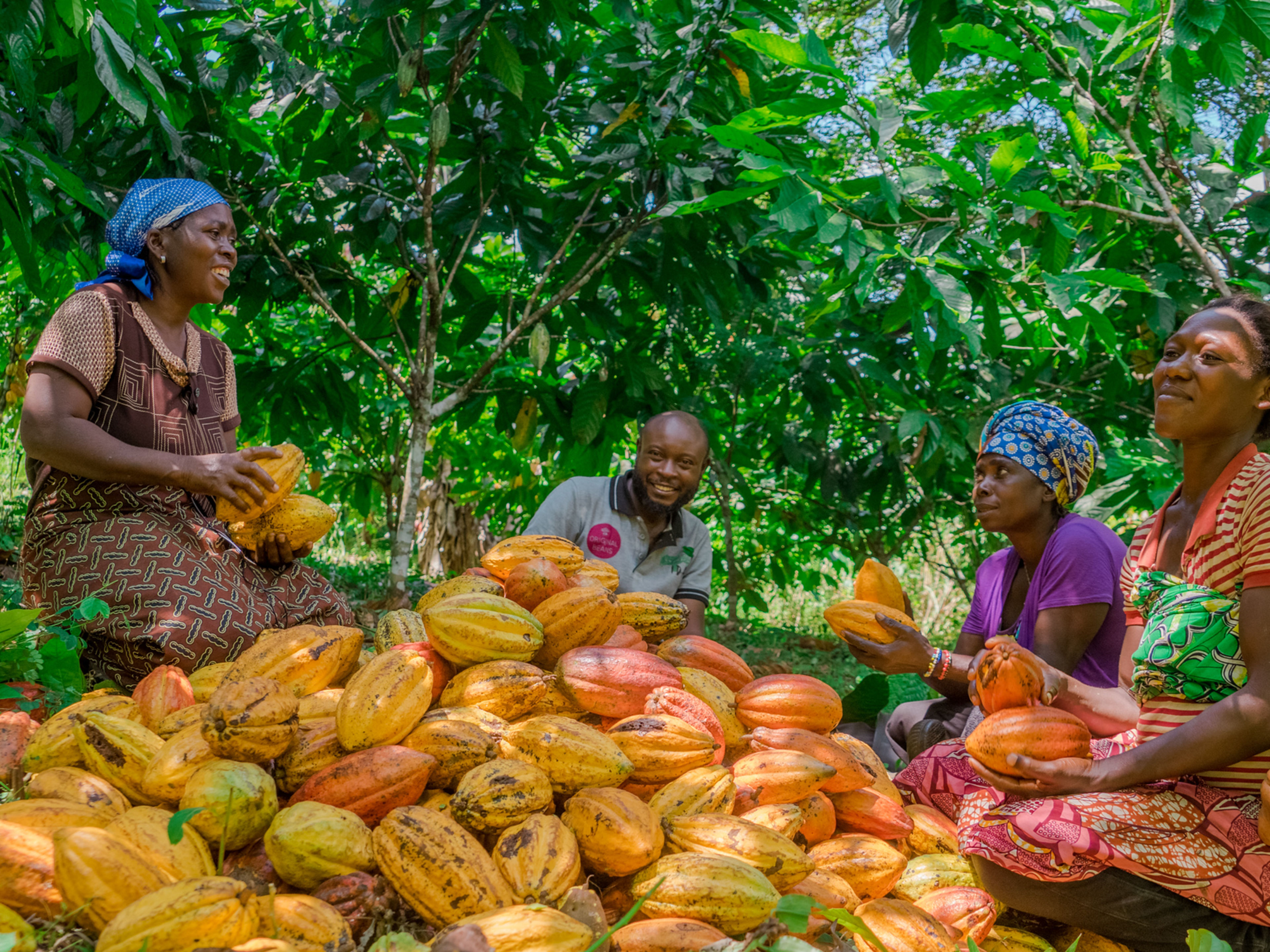 Original Beans - Menschen und Kakaobohnen Original Beans - Menschen und Kakaobohnen