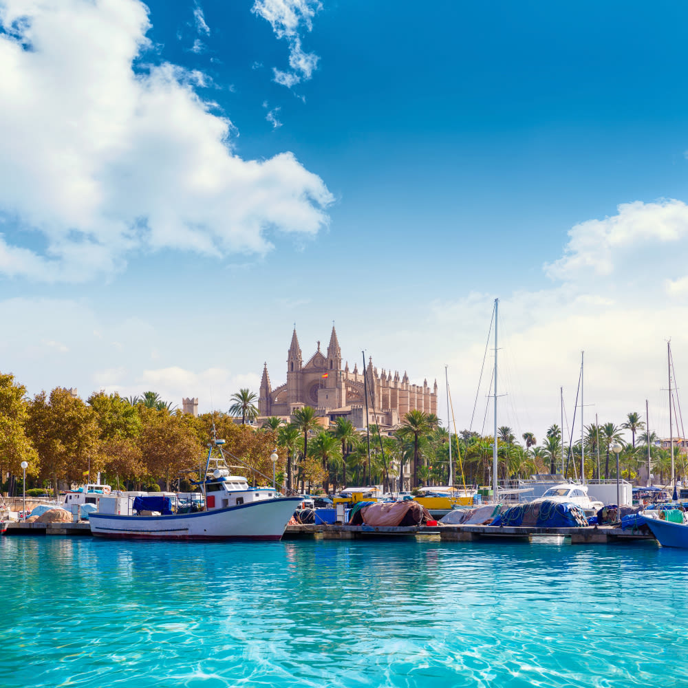 Hafen und Kathedrale von Palma
