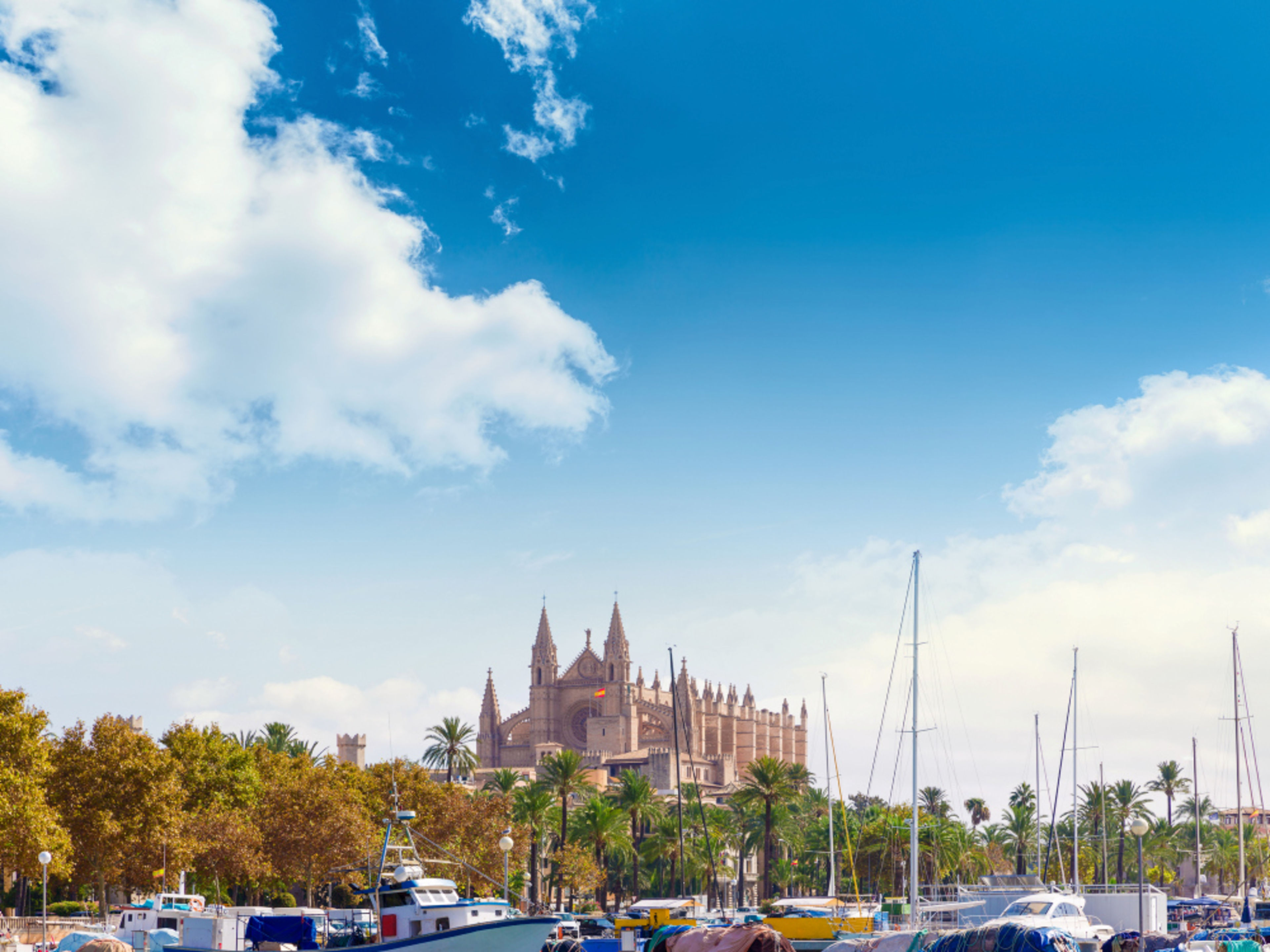 Palma de Mallorca Hafen und Kathedrale von Palma