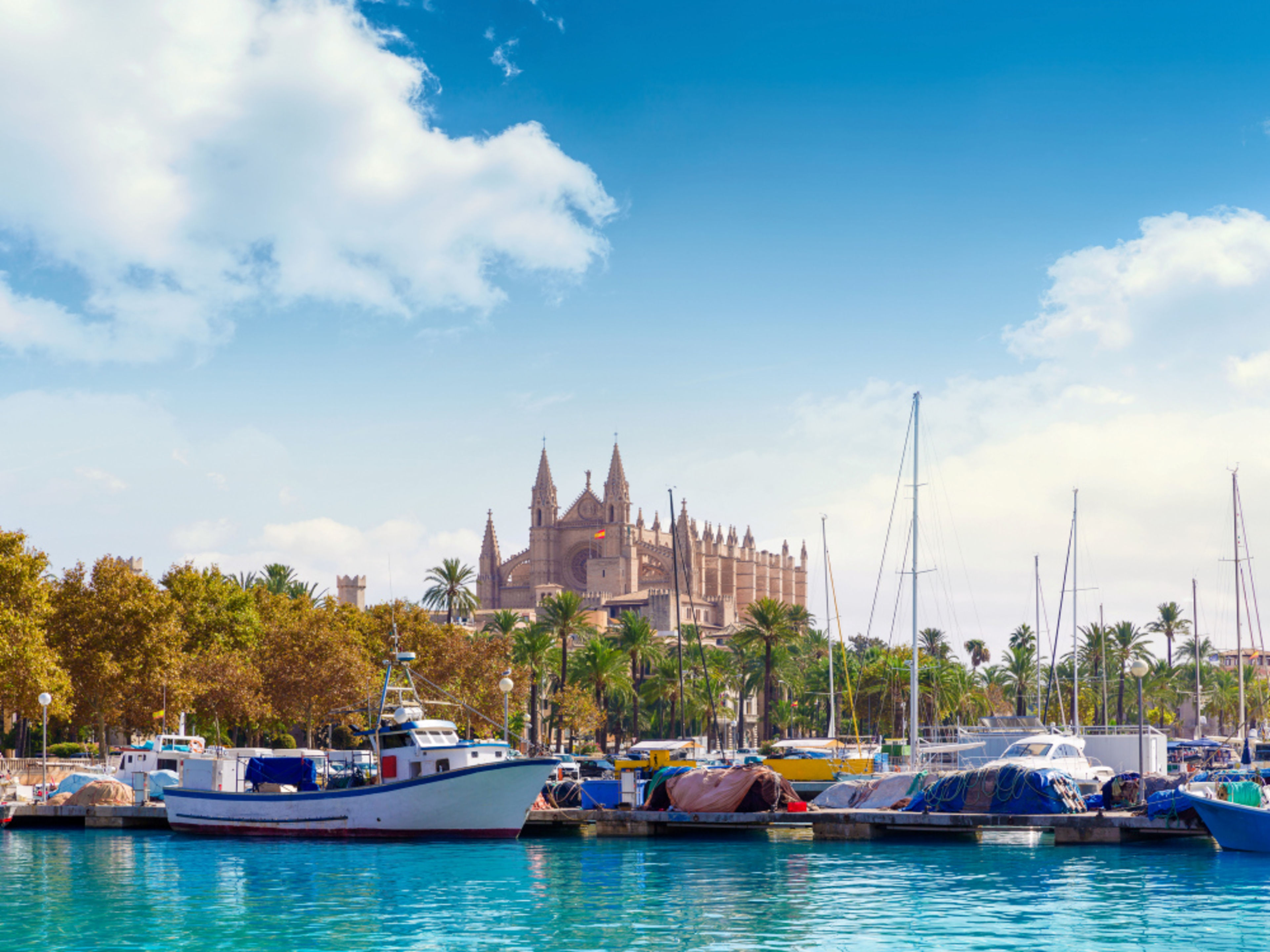 Palma de Mallorca Hafen und Kathedrale von Palma
