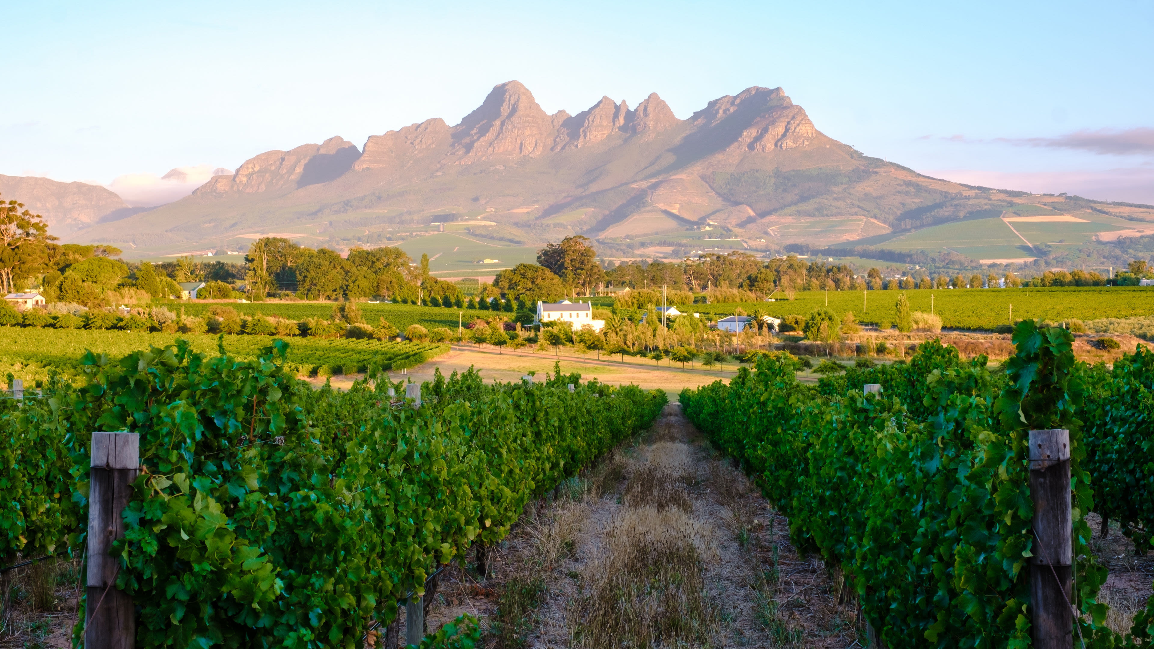 Stellenbosch Cape Town South Africa