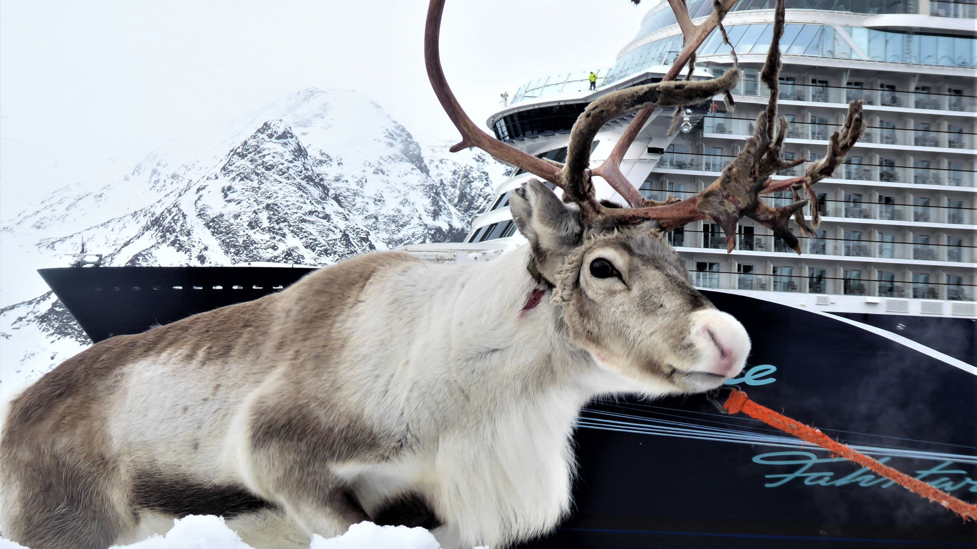 Honningsvag - Norwegen im Winter