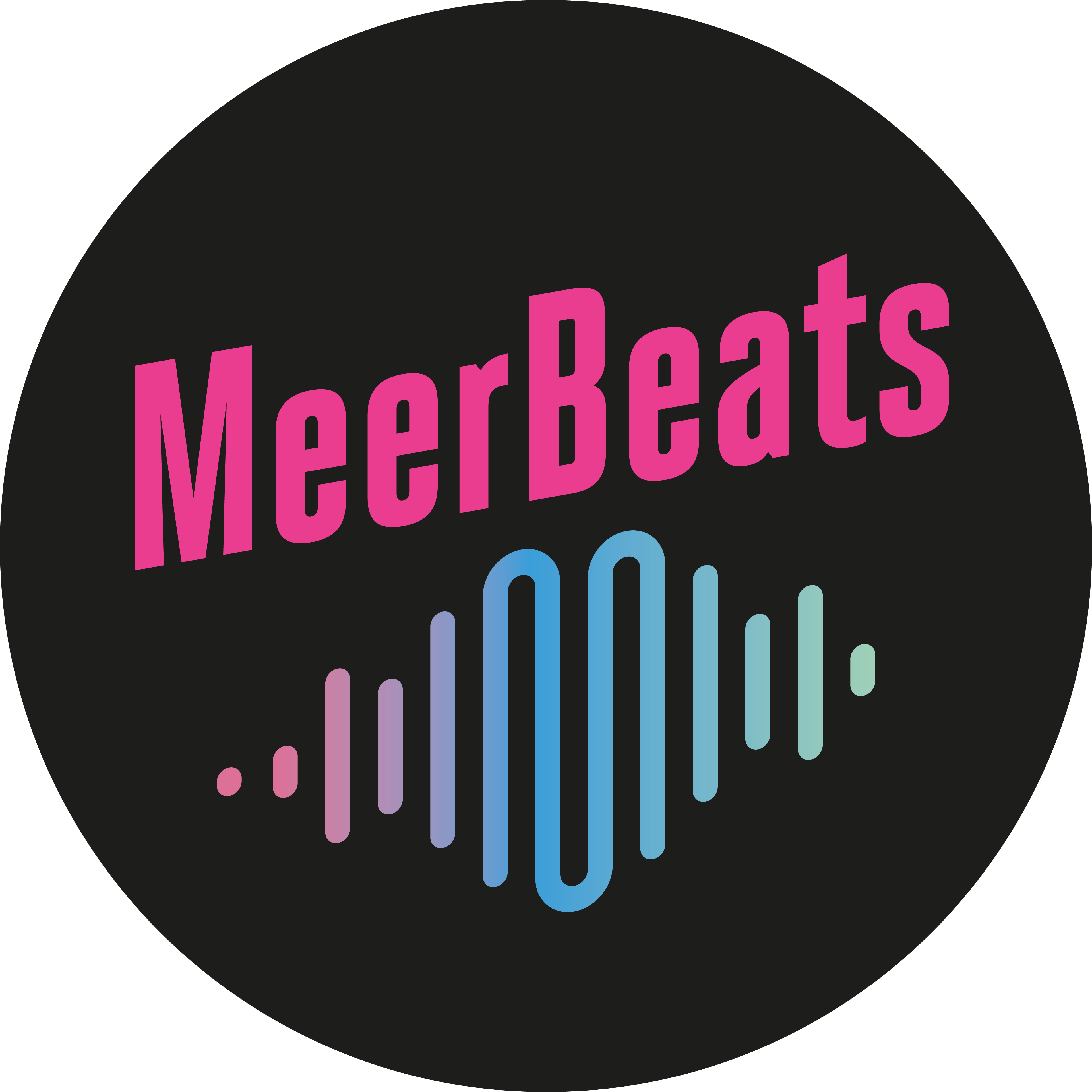 Logo MS Meer Beats