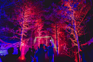Services Employee Events