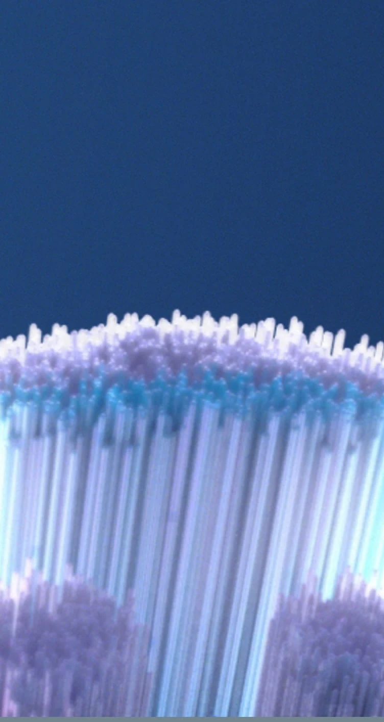 Oral-B iO Gentle Care replacement brush head bristles for a gentle clean