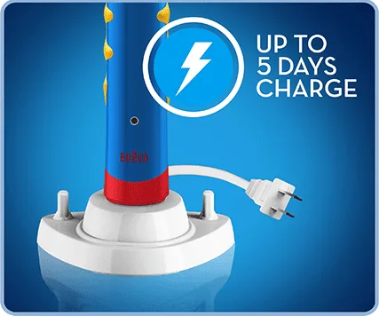 Rechargeable Battery 