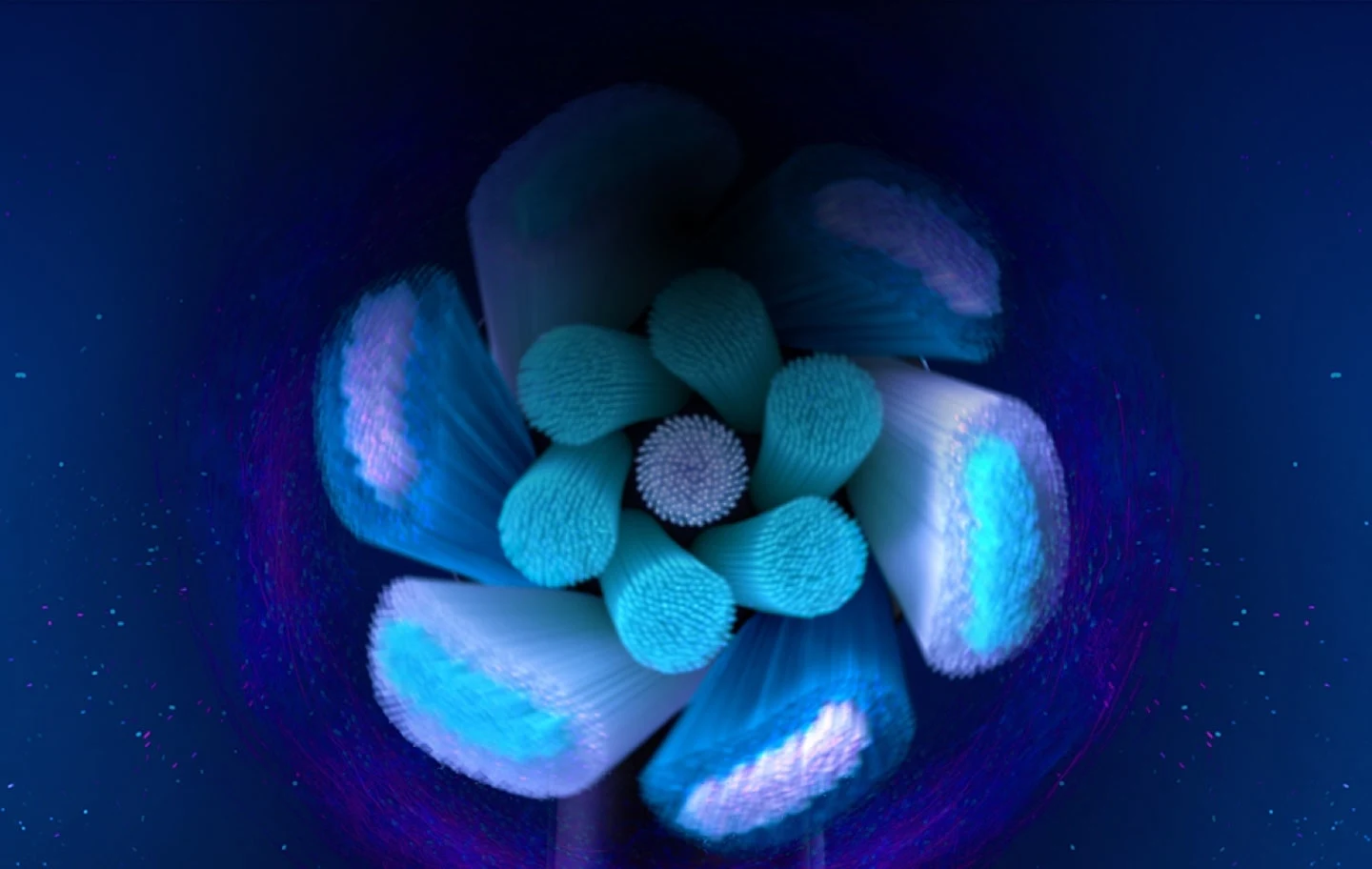 The Oral-B Ultimate Clean replacement brush head's sensors light up when brushing too hard 