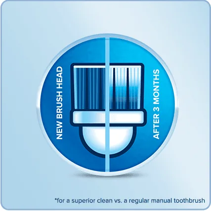 Replace Brush Heads Every 3 Months 