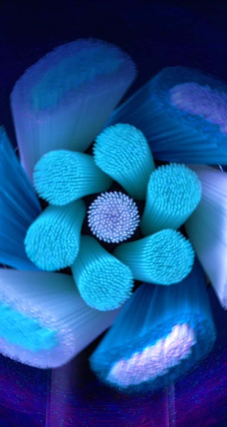 The Oral-B Ultimate Clean replacement brush head's sensors light up when brushing too hard 