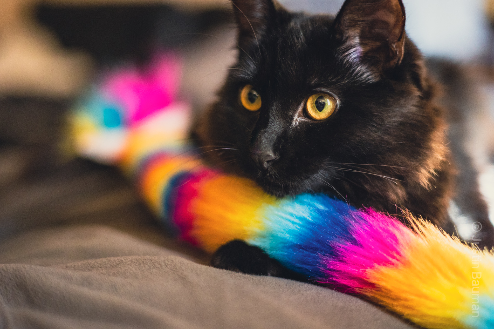 Lilith looking over a rainbow toy.