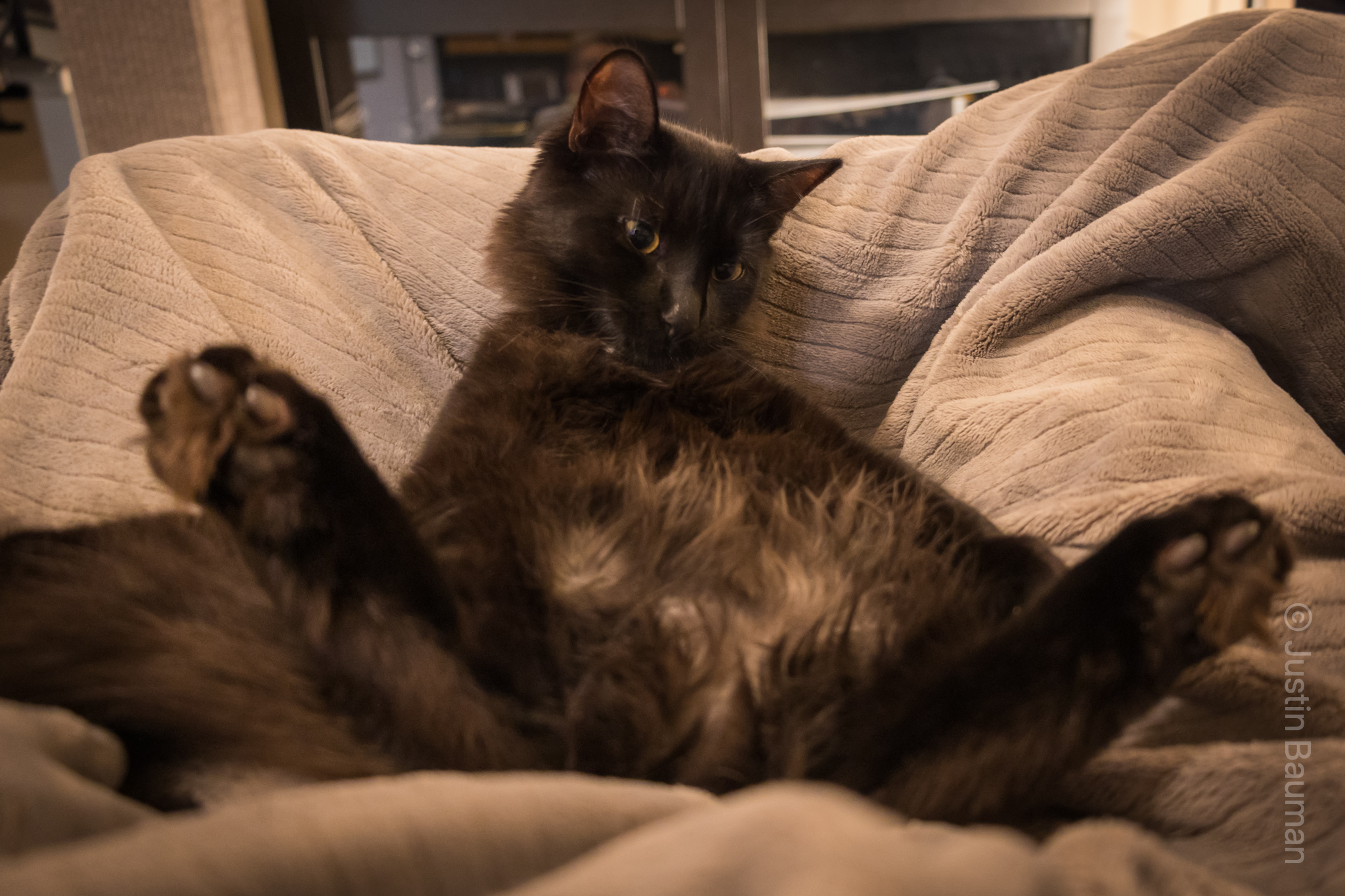 Lilith is on her back, laying like a human.