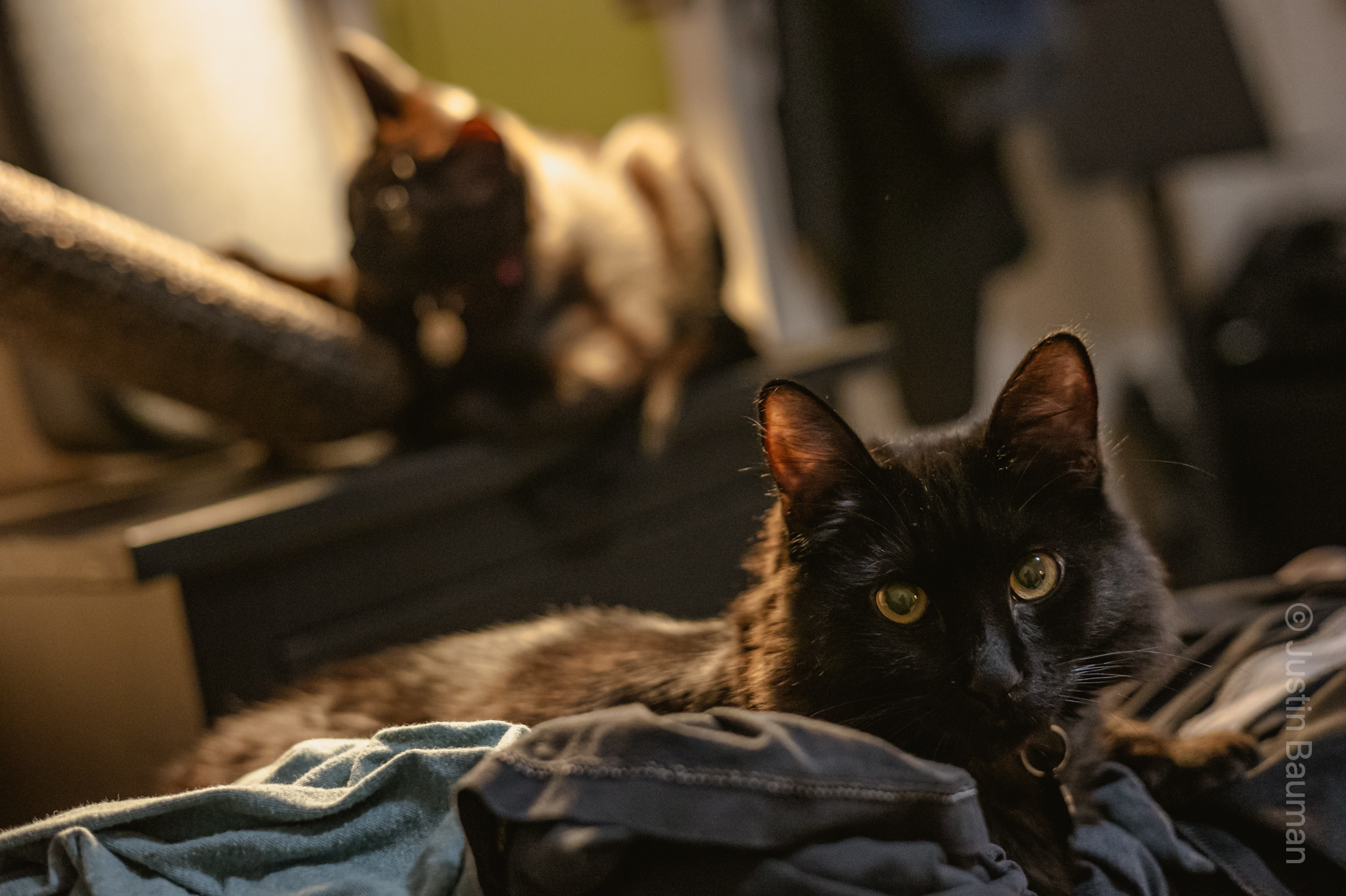 Lilith with Luna in the background