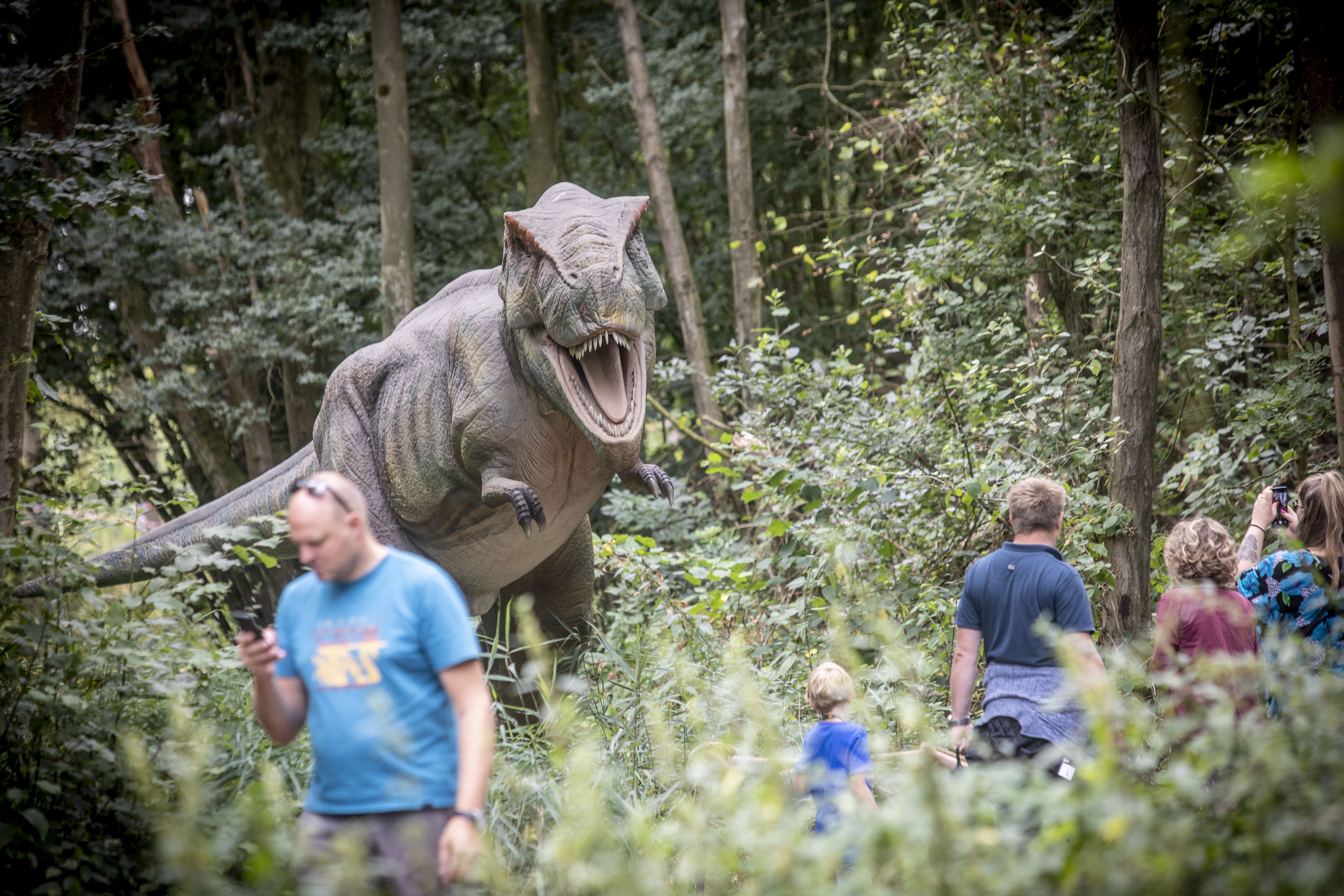 Betreden op eigen risico bij de Dino Fabriek