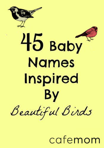 pretty bird names