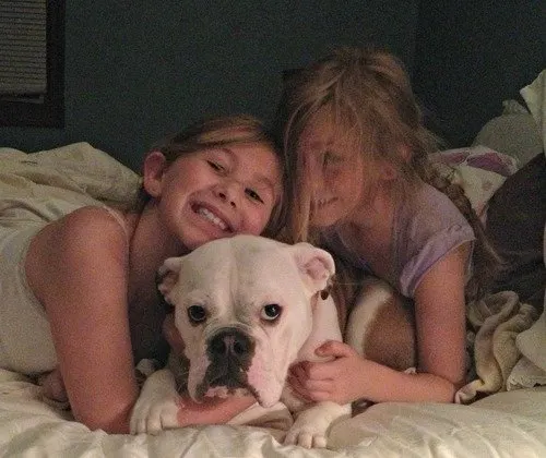 kids &amp; bulldog
