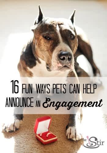 16 Adorable Ways to Get Your Pets In on Your Engagement Announcement  (PHOTOS) 
