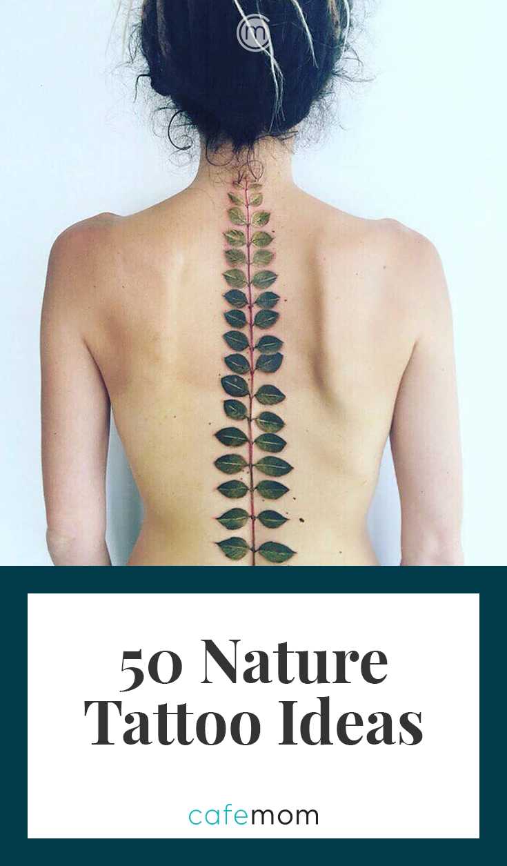 50 Fern Tattoo Designs with Meaning
