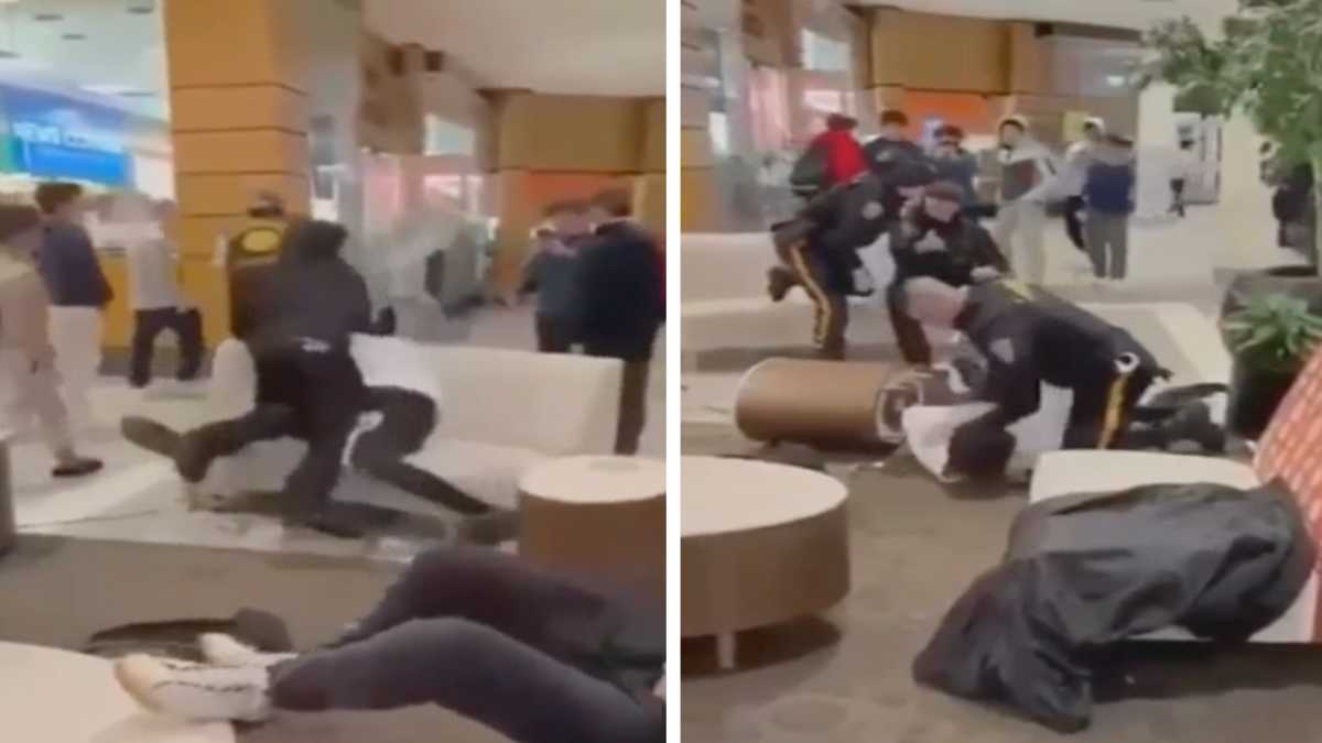 Video showing police breaking up fight between Black teen, white teen in  mall prompts outrage