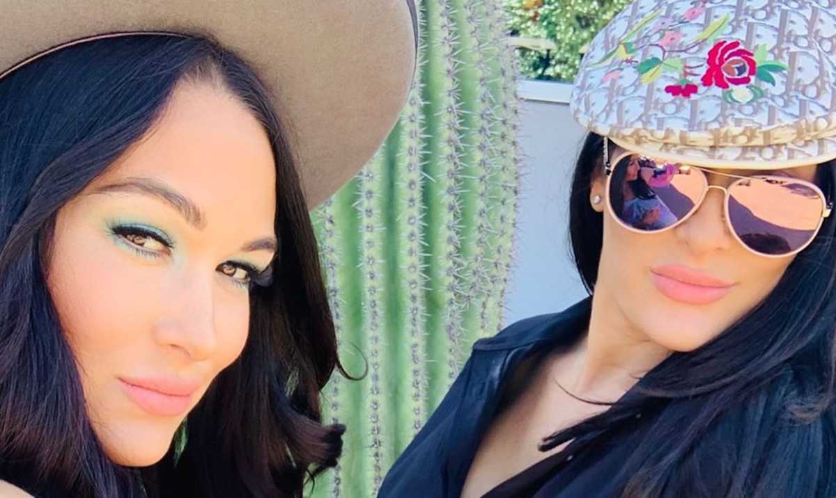 Brie & Nikki Bella Share First Look at Newborn Sons Together in