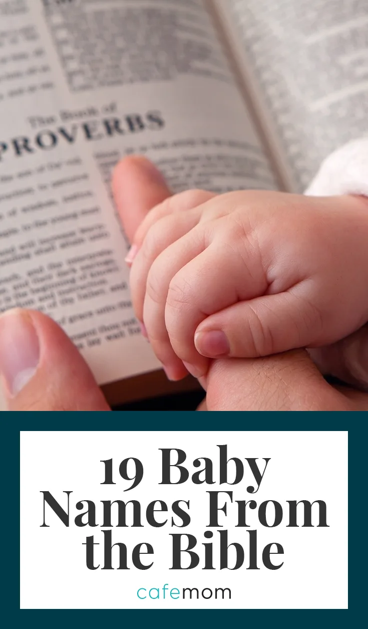 Baby hand holding parent&#39;s hand while reading the bible
