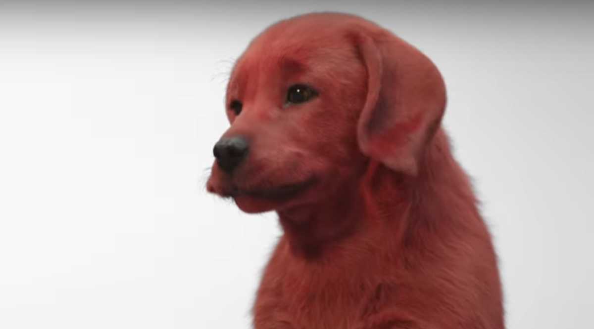 The First Look At The Clifford The Big Red Dog Movie Is Here Cafemom Com