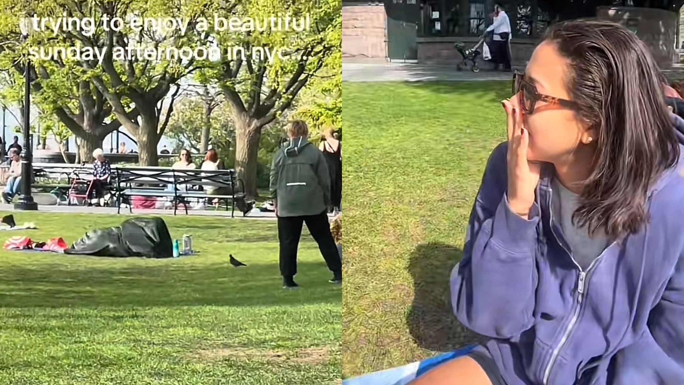 Video Seems To Show Couple Having Sex Under Blanket In a NYC Park & People  Are Losing It | CafeMom.com