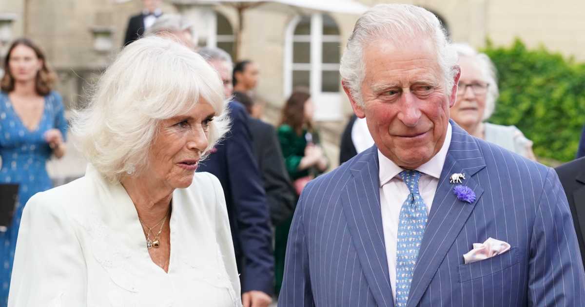 Prince Charles Is Concerned That Prince Harry Will Slam Camilla in His ...